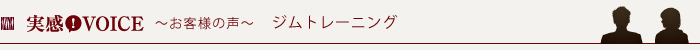 VOICE `ql̐` Wg[jO