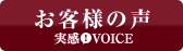 VOICE`ql̐`